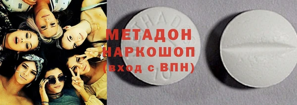 прущие грибы Абинск