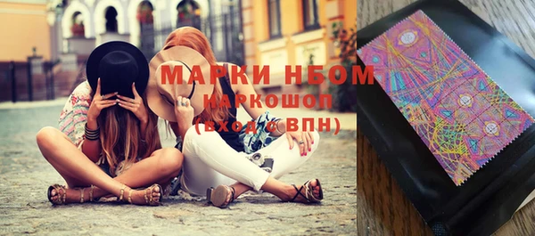 прущие грибы Абинск