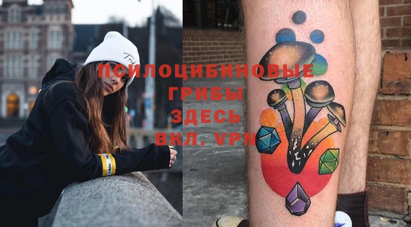 прущие грибы Абинск