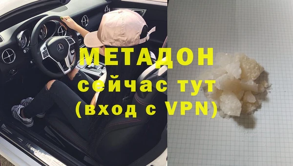 прущие грибы Абинск