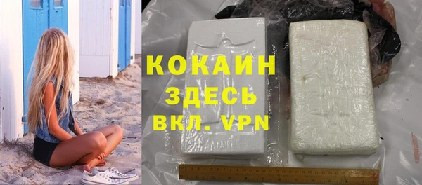 шишки Нея